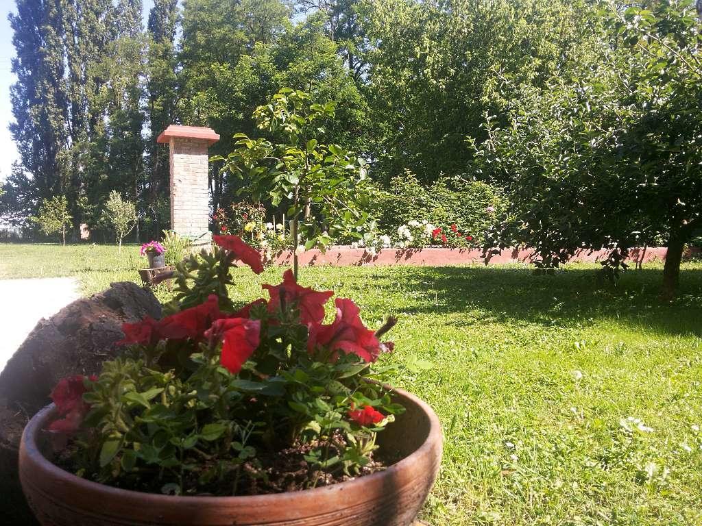 Alloggio Agrituristico Dodici-Apostoli Casumaro ภายนอก รูปภาพ